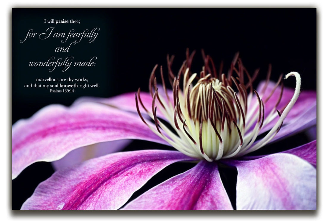 Psalm 139:14