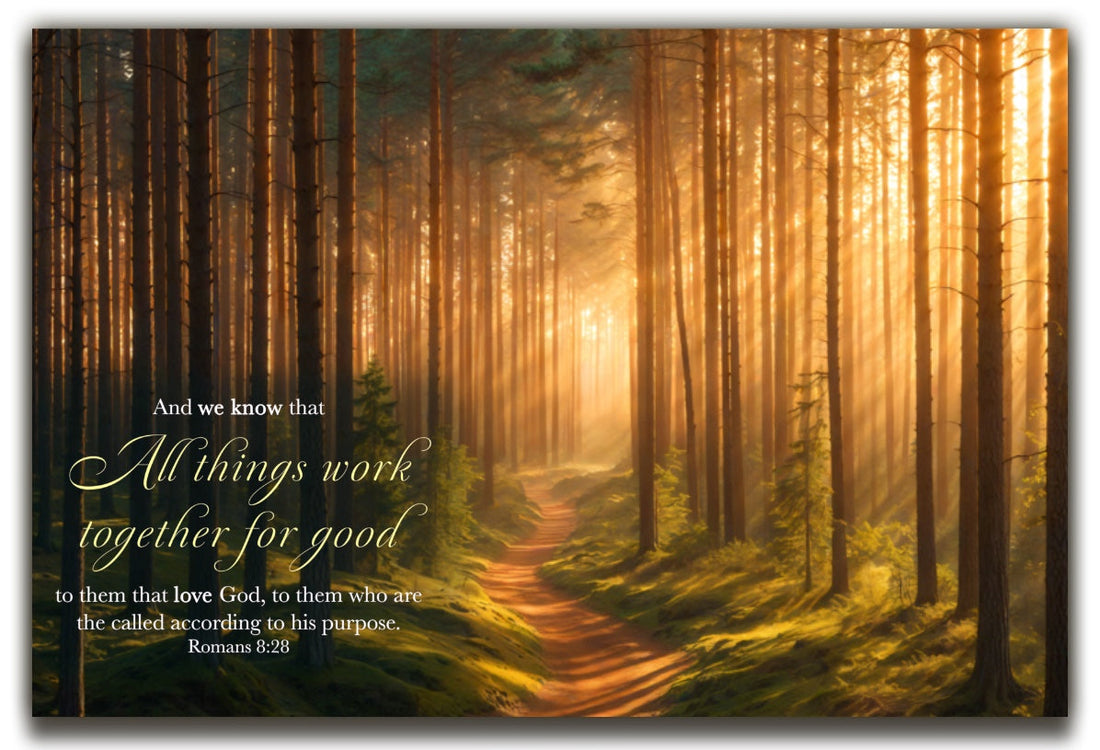 Romans 8:28