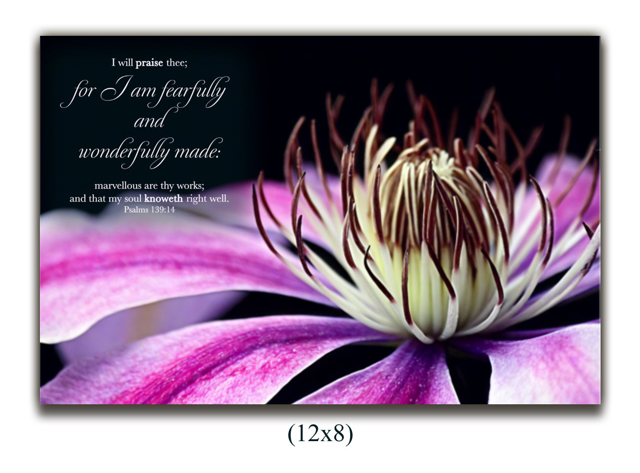 Canvas Psalms 139:14