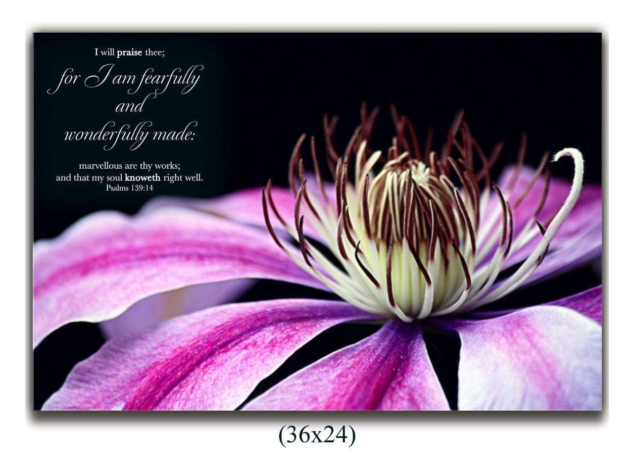 Canvas Psalms 139:14