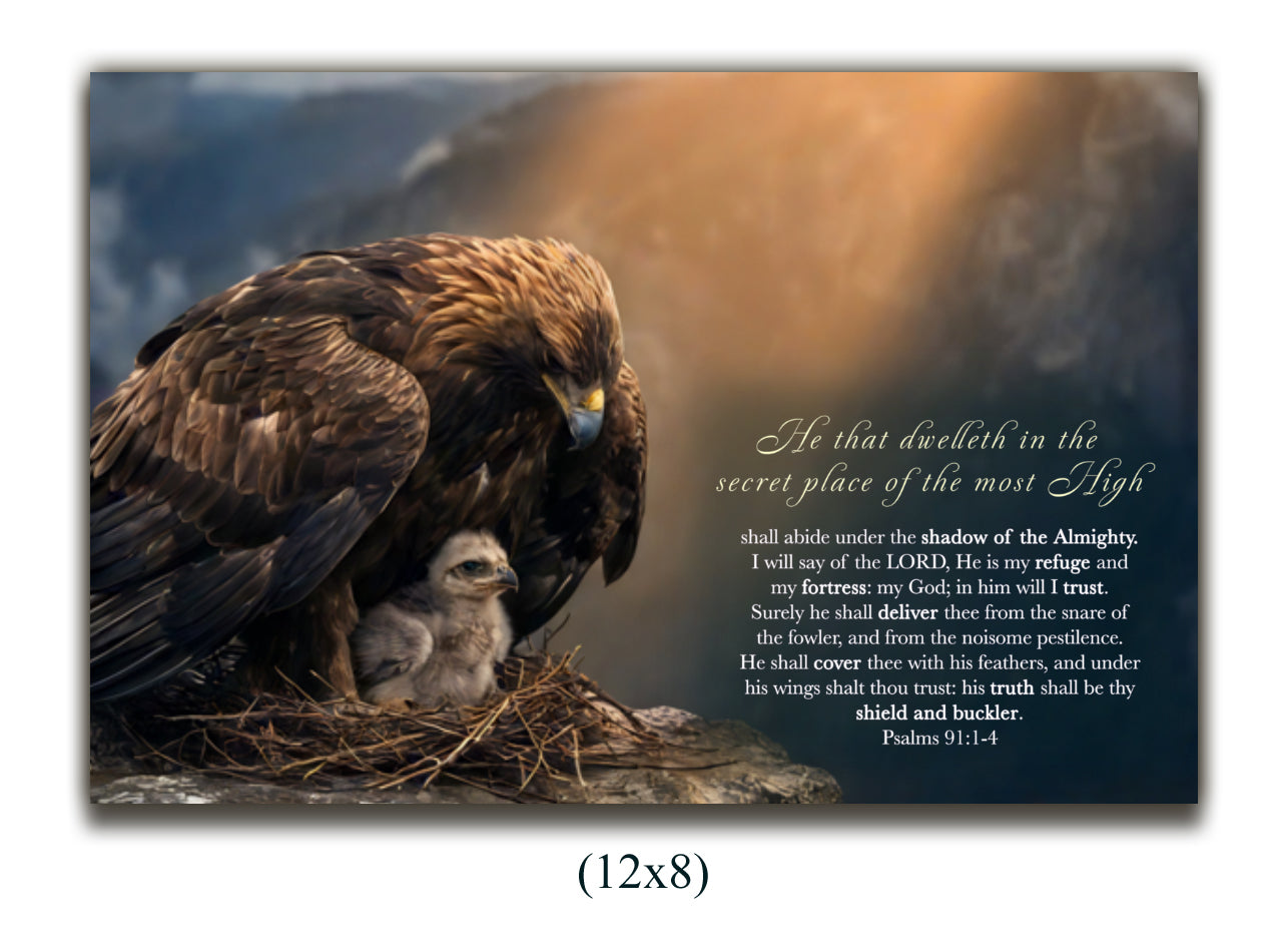 Canvas Psalms 91:1-4