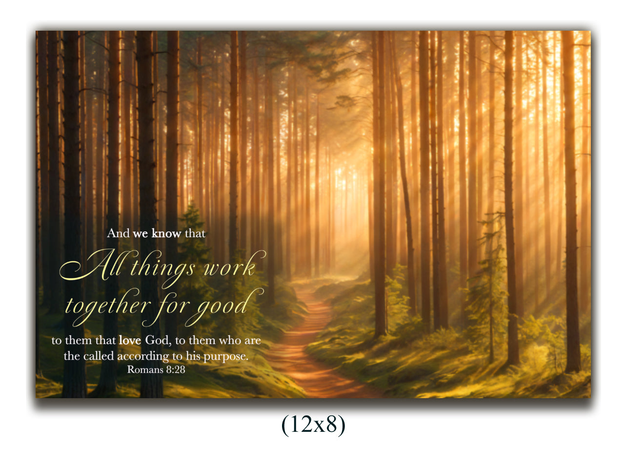 Canvas Romans 8:28